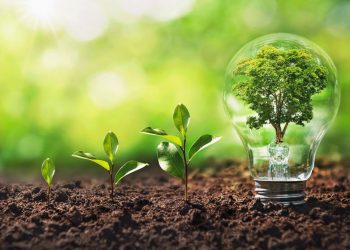 Sustainable Agriculture: Practices for a Greener Planet