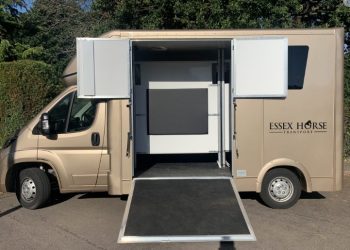 Horse Transportation Cost: Everything You Need to Know