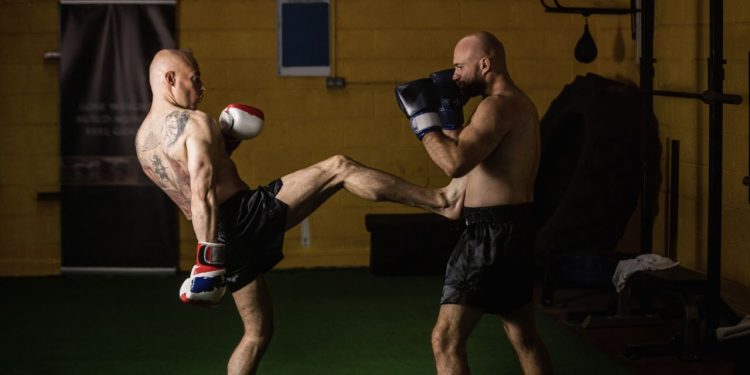 Behind-the-Scenes Look Into the World of Celebrity Kickboxers