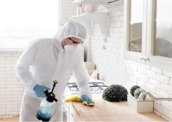 “Finding a Local Mold Inspector: Why Proximity Matters in Mold Detection and Remediation”