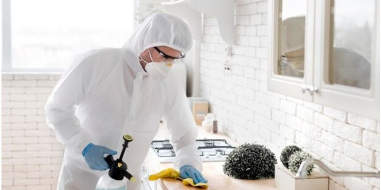 “Finding a Local Mold Inspector: Why Proximity Matters in Mold Detection and Remediation”