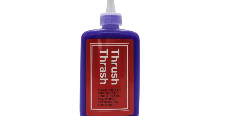 Best hoof Conditioner on the Market