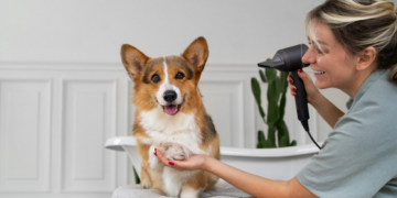 Unveiling the Magic: Understanding How Dog Grooming Works in Boca Raton