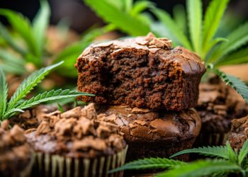 Experience the Elevated Effects: A Comprehensive Guide to Delta 9 THC Edibles