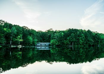 Madison Gatherings: Where Laughter and Memories Collide