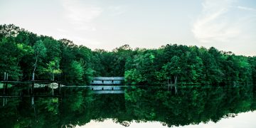 Madison Gatherings: Where Laughter and Memories Collide