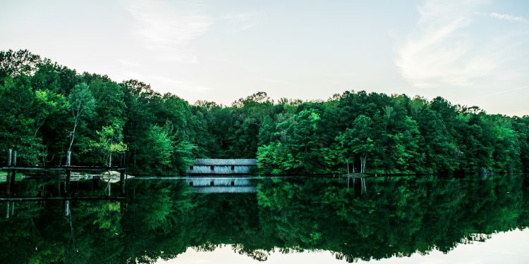 Madison Gatherings: Where Laughter and Memories Collide