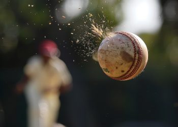 Bouncer in Cricket | Reddy Anna Report