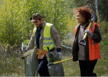 Professional Tree Service in Lawrence: Keeping Your Property Safe and Beautiful