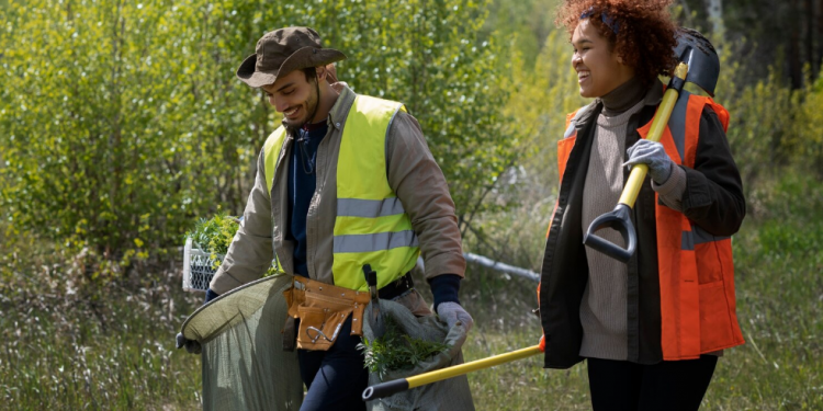 Professional Tree Service in Lawrence: Keeping Your Property Safe and Beautiful