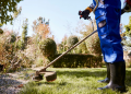 Creating a Healthy and Beautiful Lawn Through Professional Lawn Care