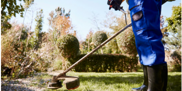 Creating a Healthy and Beautiful Lawn Through Professional Lawn Care
