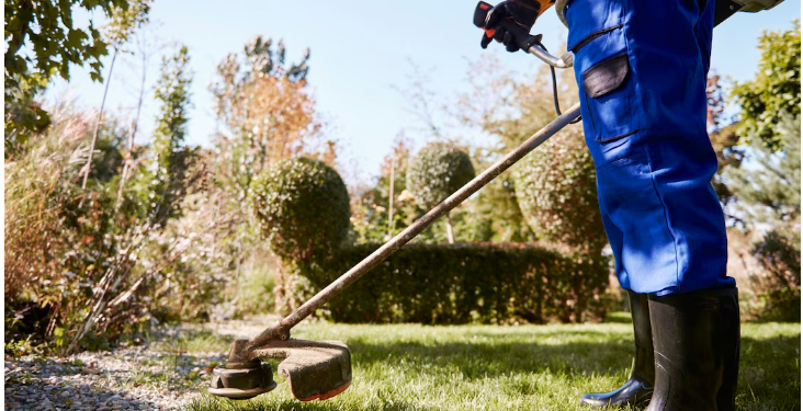 Creating a Healthy and Beautiful Lawn Through Professional Lawn Care