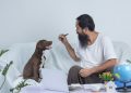 Starting a Pet Sitting Business in Dubai: A Growing Opportunity