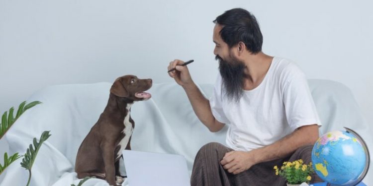 Starting a Pet Sitting Business in Dubai: A Growing Opportunity