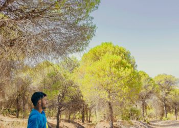 Peran Desa dalam Menjaga Kelestarian Alam dan Lingkungan