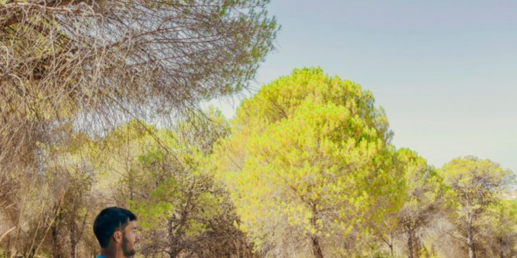 Peran Desa dalam Menjaga Kelestarian Alam dan Lingkungan